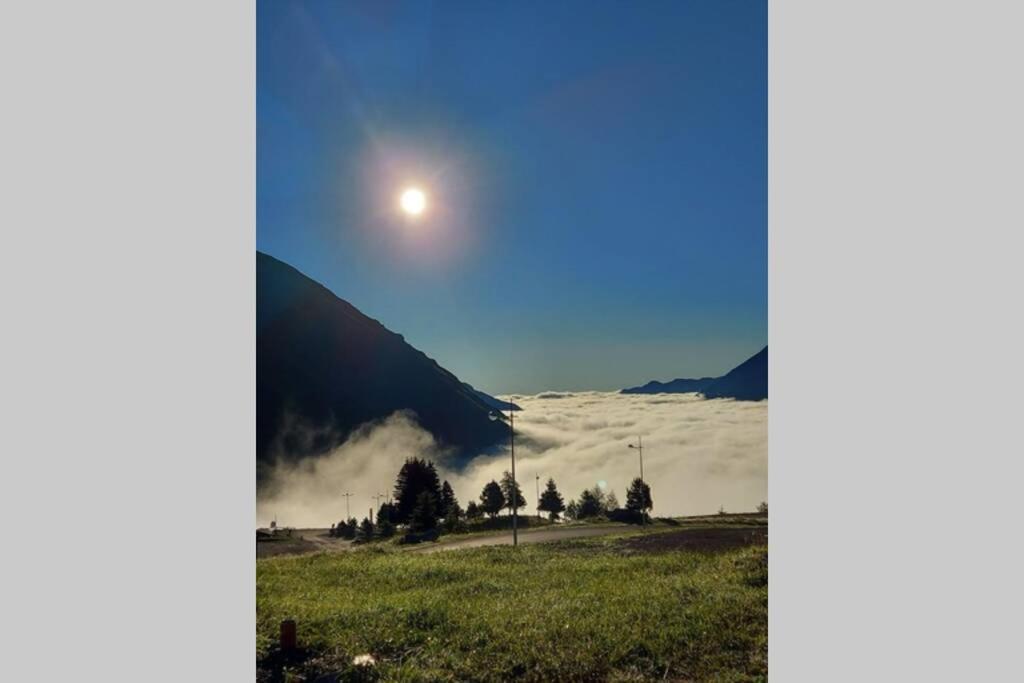 Studio Cabine Piau-Engaly Au Pied Des Pistes 阿拉纽埃 外观 照片